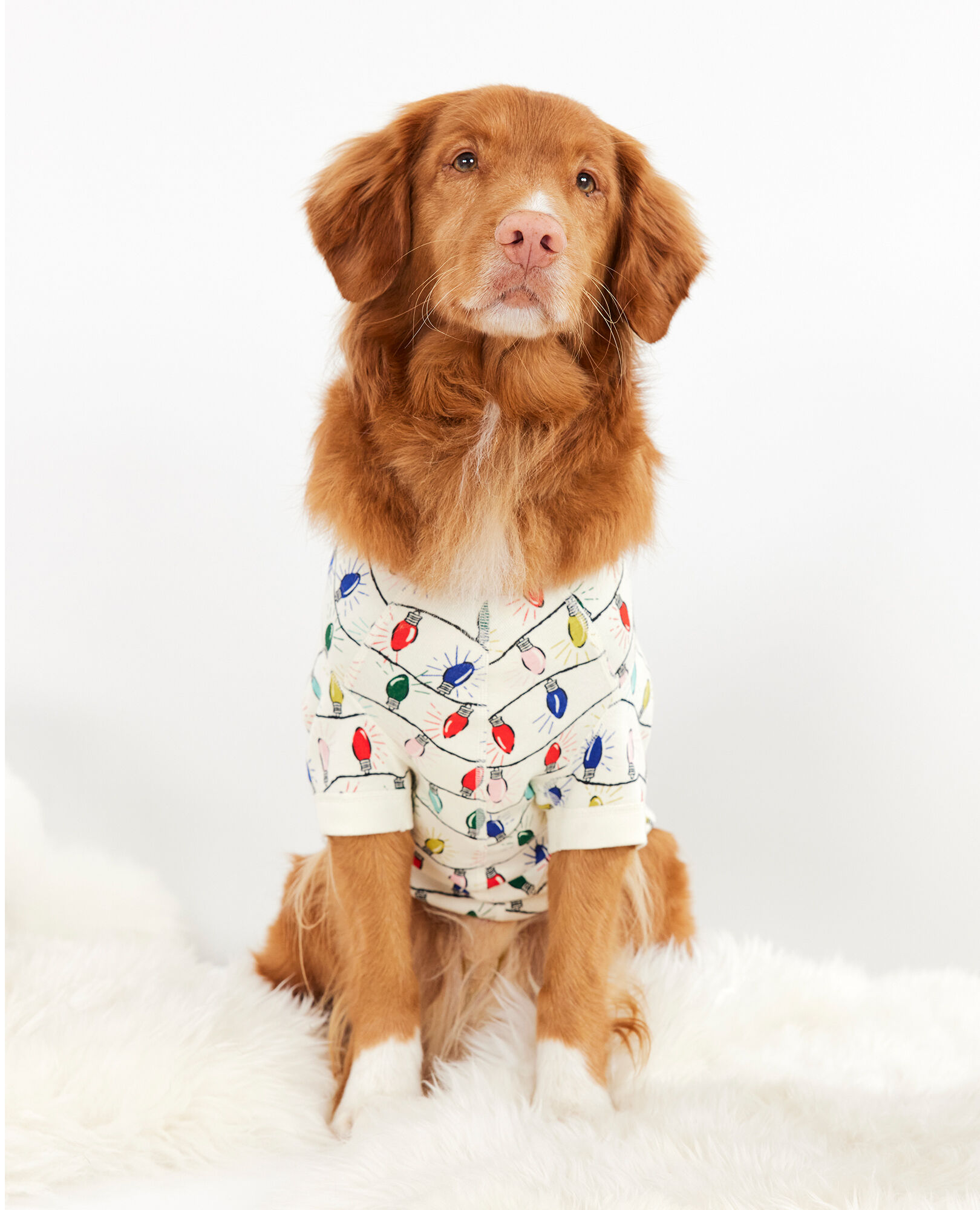 The clearance dogs pajamas